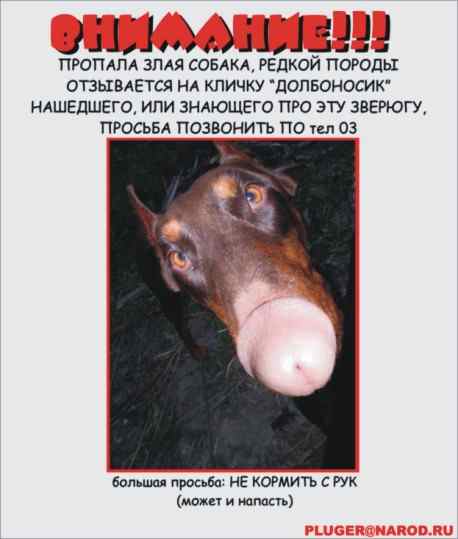 att-425e55b038863____.jpg