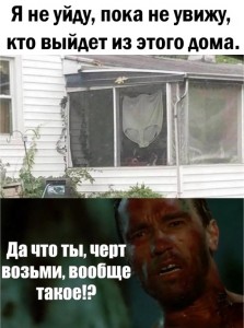 1672045211342.jpg (142.01 КБ) 583 просмотра 1672045211342.jpg