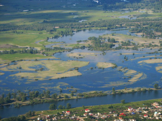 р.Сок_01.jpg