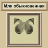 27888_prev_98.jpg