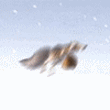 00144500.gif