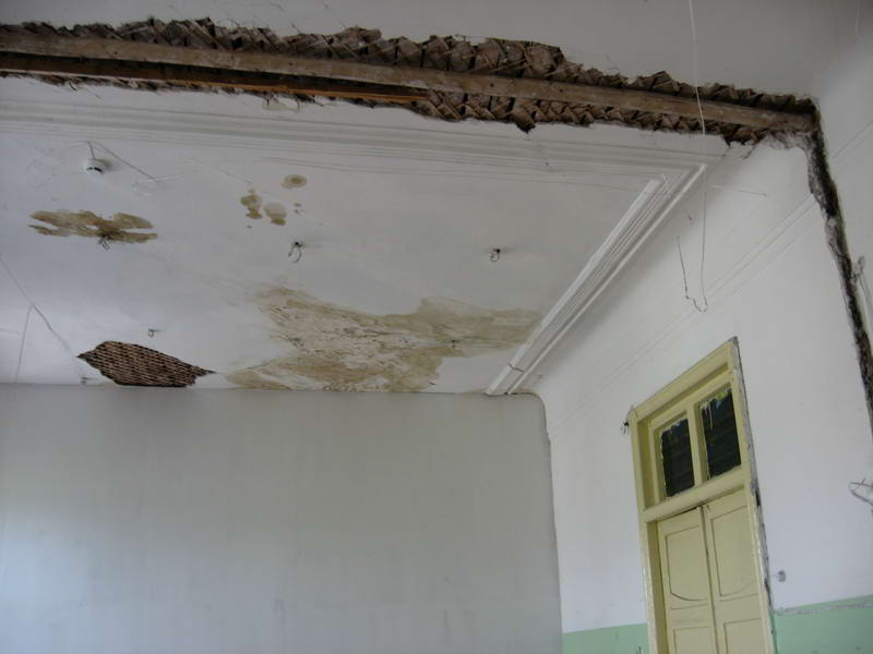 IMG_3157_resize.JPG