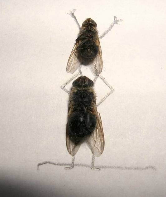 ATT11025791.jpg