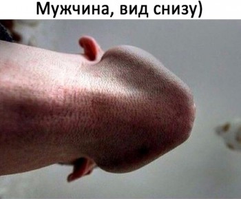 qCoj0oiLPQw.jpg